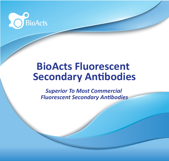 Fluorescent Secondary Antibodies
