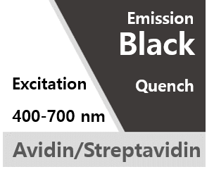 qFlamma® Black01 Biotin