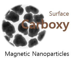 Silica Carboxy Magnetic Nanoparticles