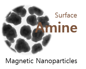 Silica Amine Magnetic Nanoparticles