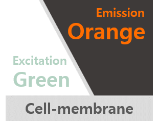 CytoFlamma® 552 Cell-membrane (1 mM)